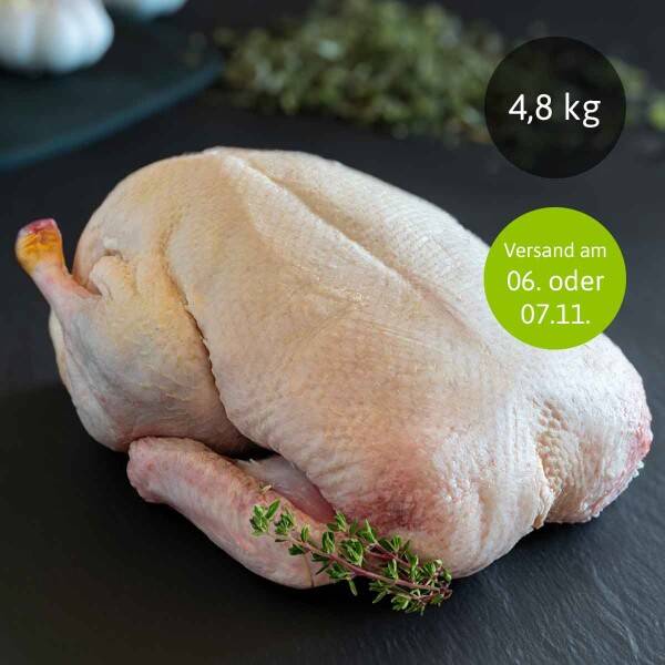 Alles über die Lagerung von geräuchertem Hühnerfleisch