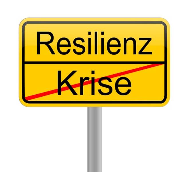 Krisenmanager: Anforderungen und funktionale Verantwortlichkeiten