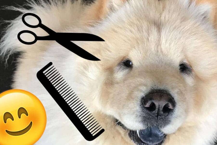 Der Name Alesya oder Olesya: was ist der Unterschied und wie schreibt man ihn richtig??