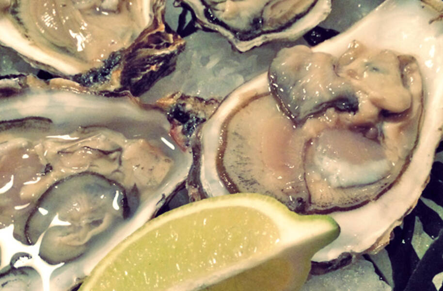 Wie man Austern richtig lagert?