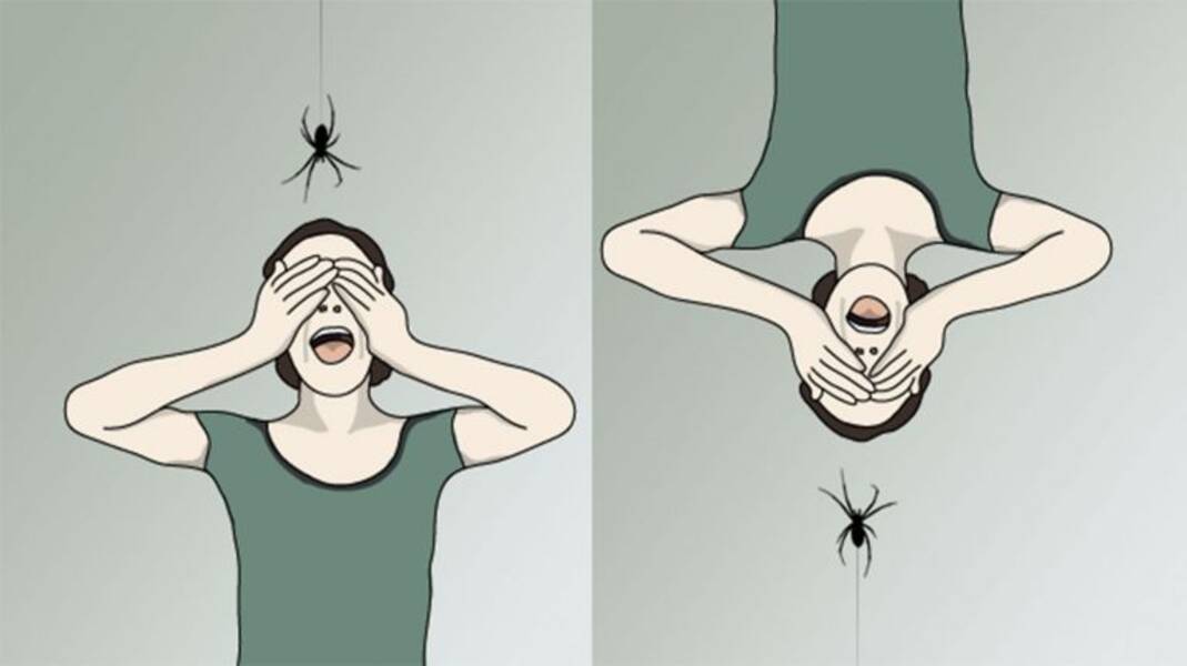 Angst vor Mäusen: Beschreibung des Leidens und Wege, es loszuwerden