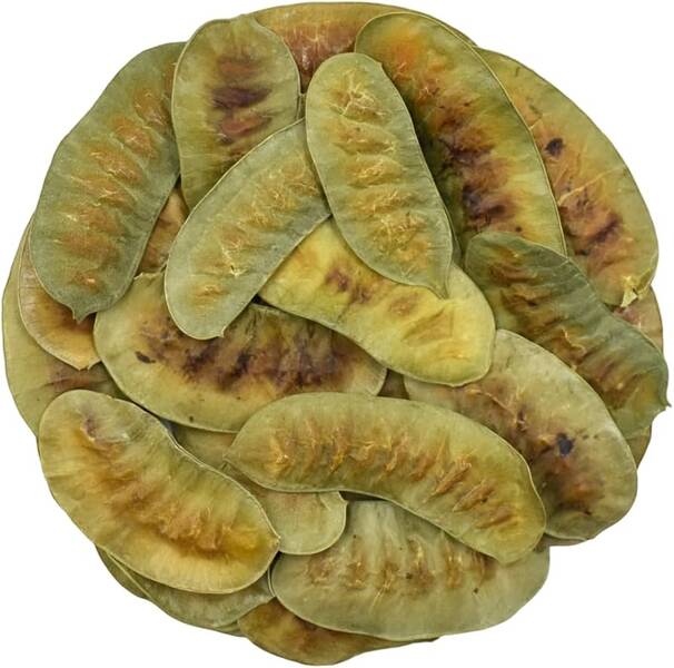 Der Name Alexandrina