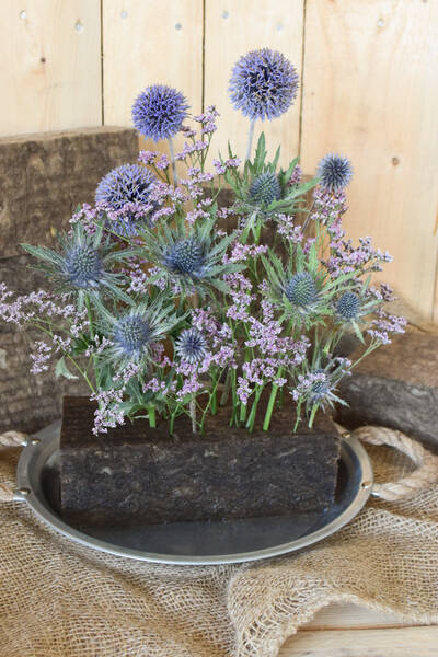 Alles, was Sie über Blumenschwämme wissen müssen