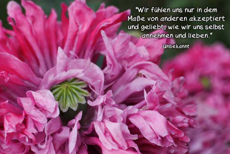 Wie man selbstbewusst ist und sich selbst liebt?