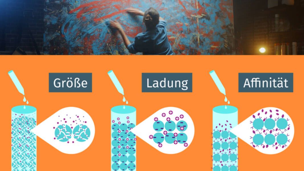 Alles über Chromatophobie