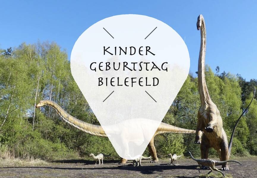 Wie man den Geburtstag eines Jungen von 8 Jahren feiert?