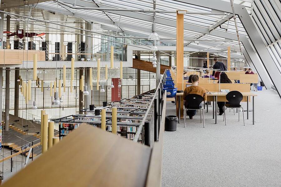 Die Wahl eines Berufs im Bereich der Sozialwissenschaften