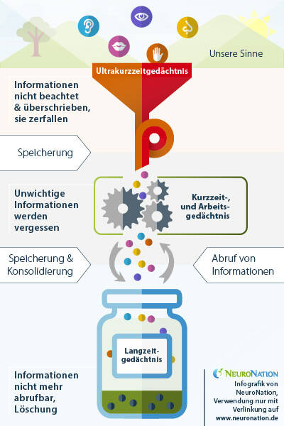 Das Arbeitsgedächtnis in der Psychologie: Was es ist und wie man es verbessern kann?