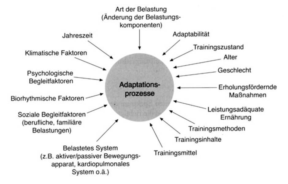 Mechanisches und logisches Gedächtnis: Unterscheidungsmerkmale und Entwicklungswege