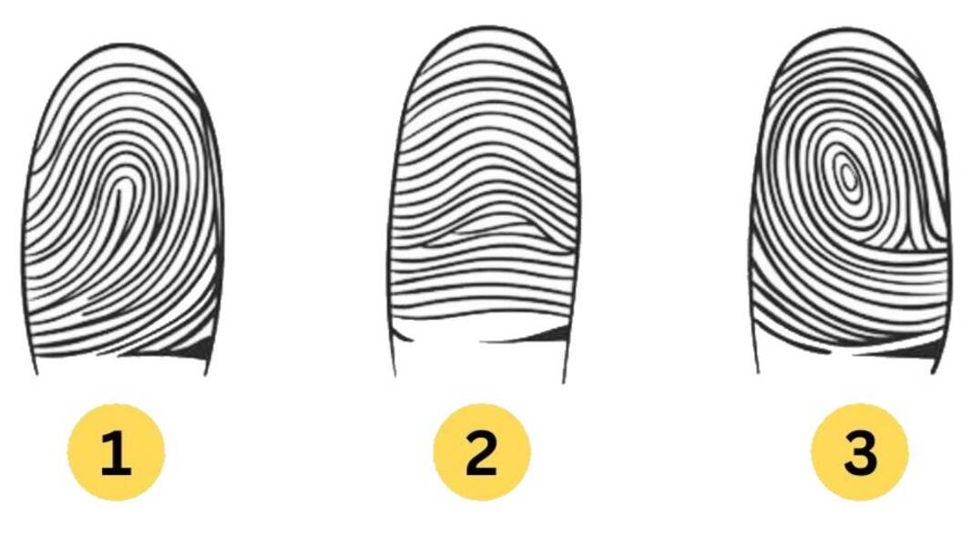 Empfindsamkeit: Persönlichkeitstypen, ihr Charakter und ihre Einstellungen