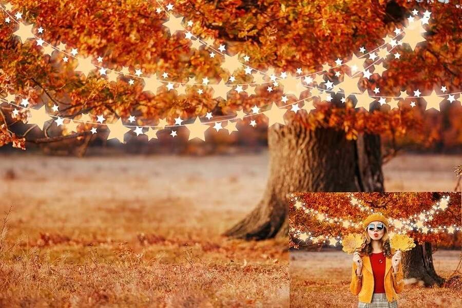 Vielfalt der herbstlichen Fotozonen