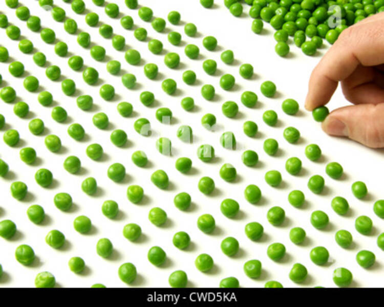 Pedant und Pedanterie: was bedeutet das??