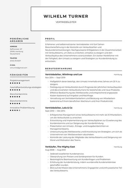 Lebenslauf des Leiters der Verkaufsabteilung: Empfehlungen zum Ausfüllen