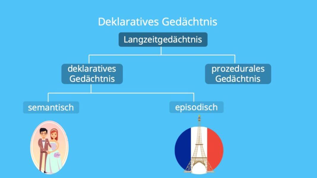 Eidetisches Gedächtnis: was es ist und wie man es entwickelt?