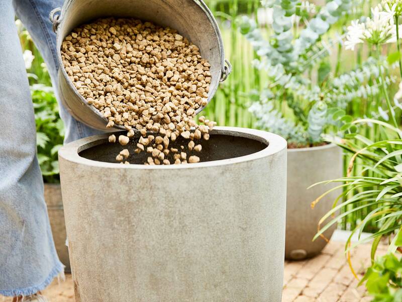 Wachsende Blumen: Arten, Materialien und Herstellung